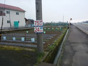 東尋坊愛のマラニック　75km標識