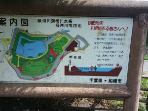 長津川調整池