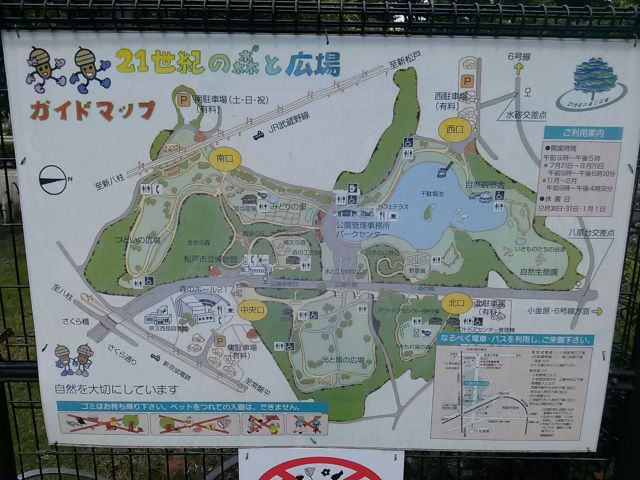 松戸市の 21世紀の森と広場 に行ってきました