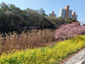 福栄の花