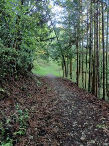 旧街道の山道