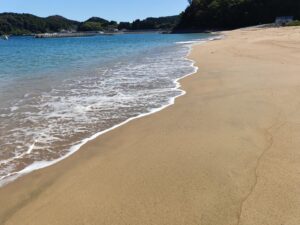 海岸の荒波